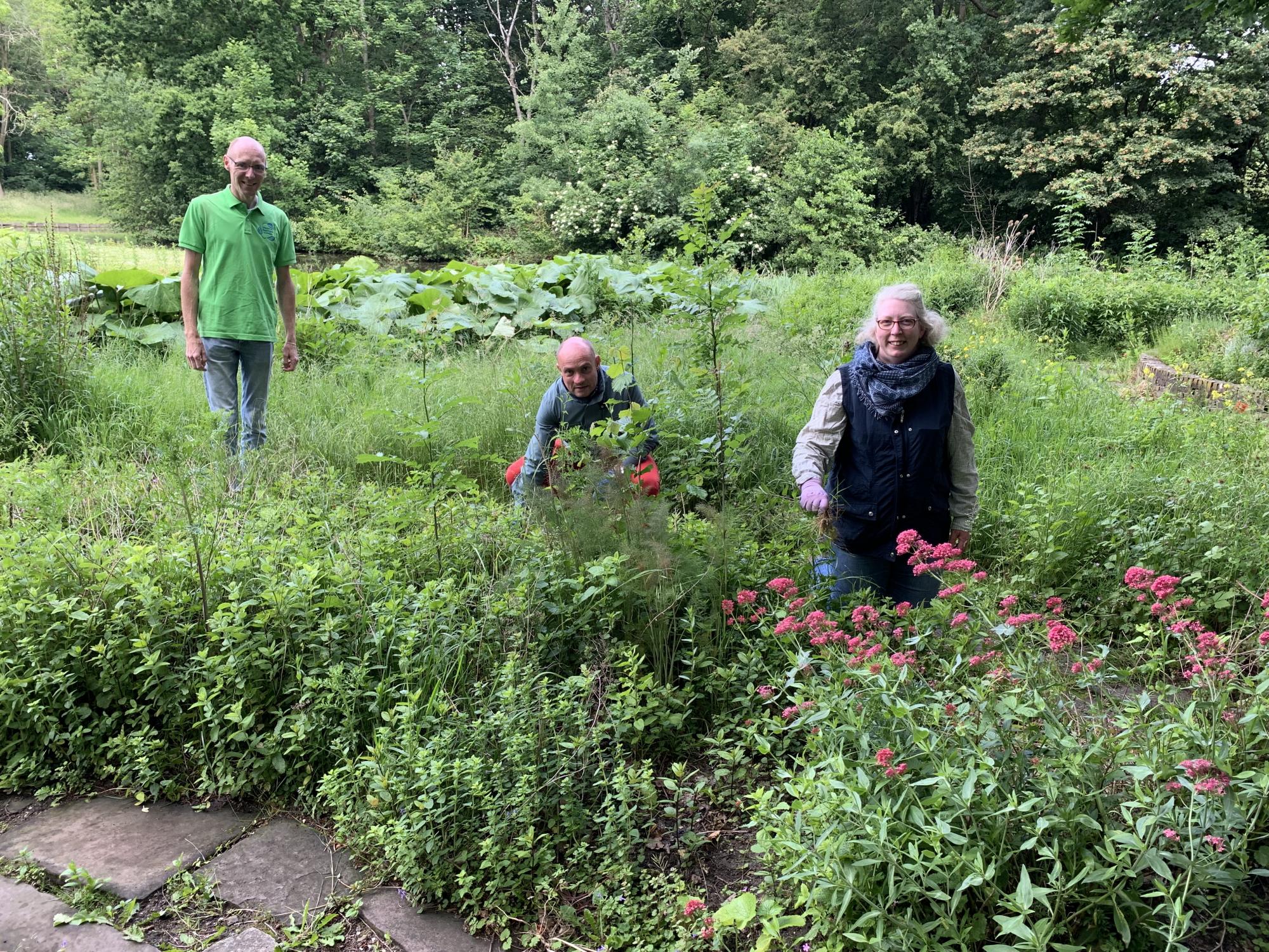 "Foto van vrijwilligers die werken in het Prinses Beatrixpark"