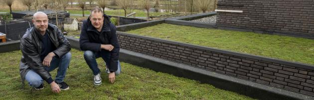 groene sedum op 13 garages
