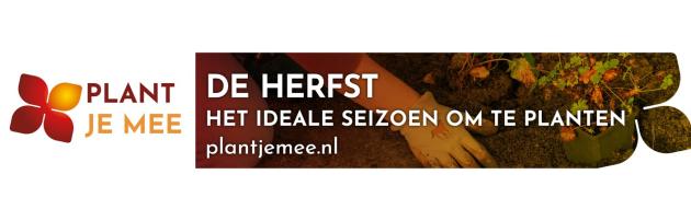 Plant je mee? De herfst is het ideale seizoen om te planten.
